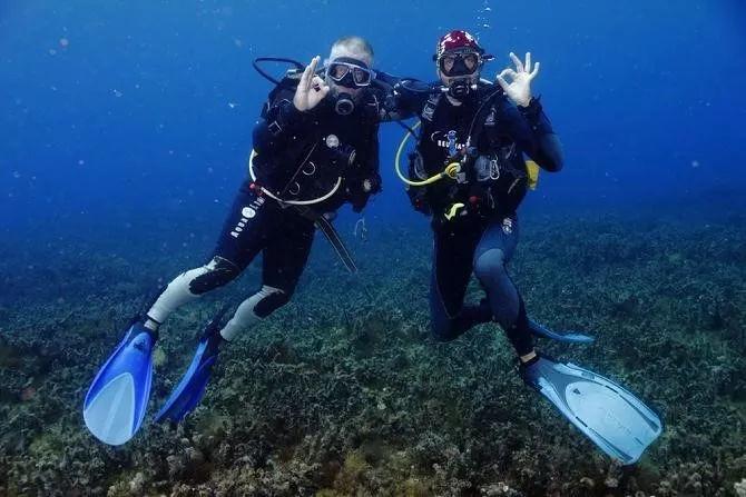 万峰工贸旗下黔二娘油辣椒实力最强的公司是？游戏画面